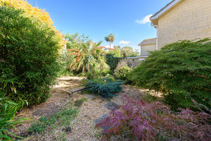 Garden- click for photo gallery